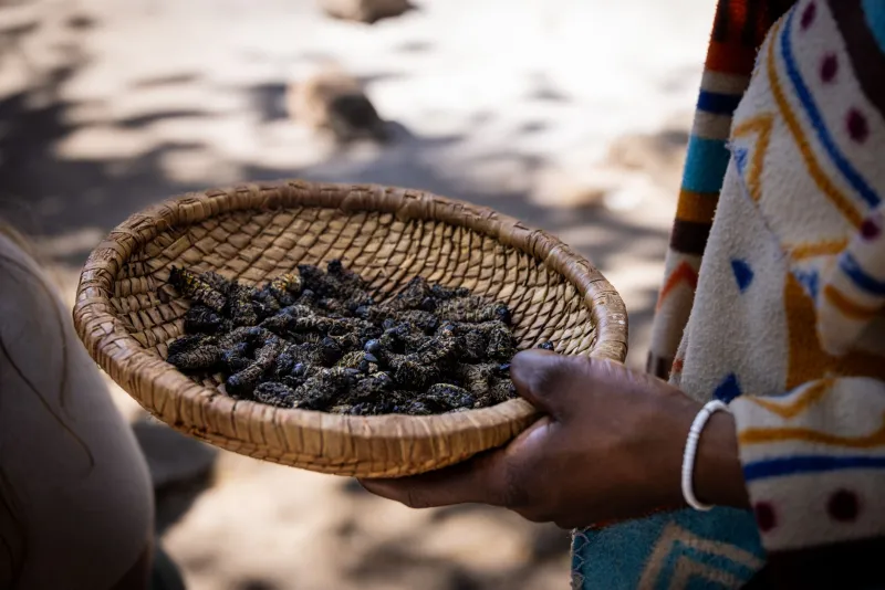 Roots and Revival: How California Chefs Are Bringing Indigenous Ingredients Back to the Table