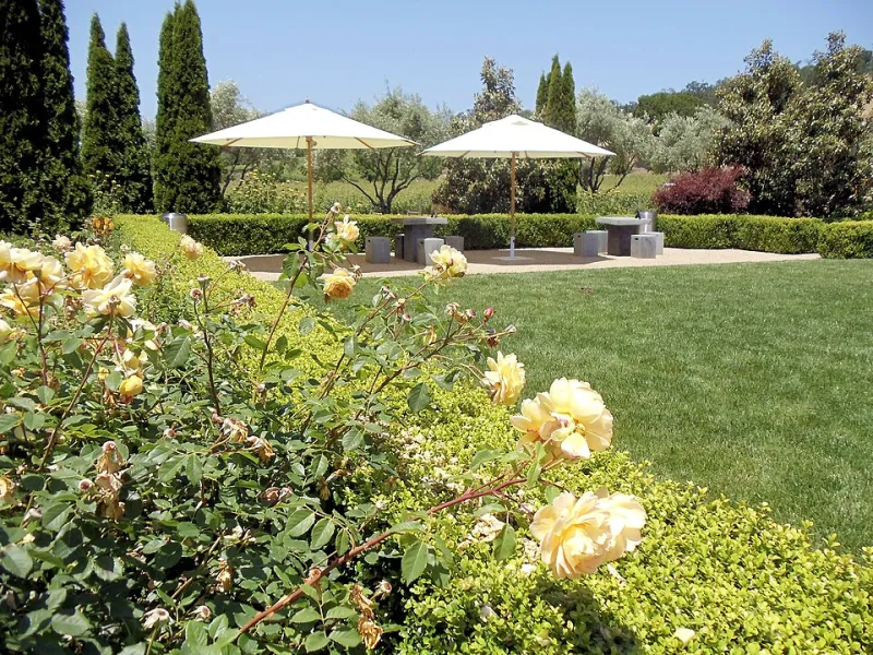 What's Actually in Their Glass: The Secret Wine Lives of California's Top Winemakers